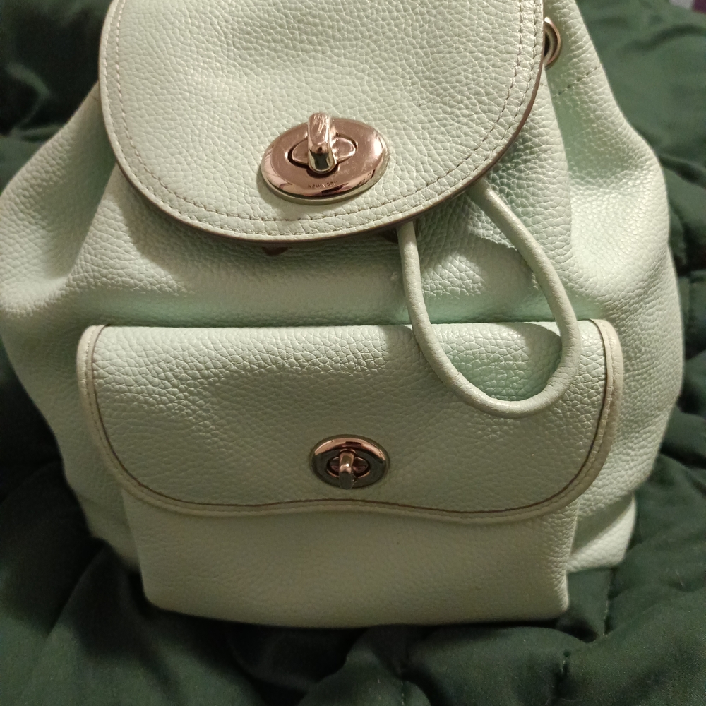 Mint Green Leather Backpack Purse